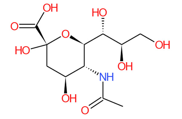 N-acetylneuraminic حمض