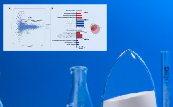 مجلة التجميل المشهورة عالميًا "Sofw Journal": Omics Technology &amp; N -acetylneuraminic - فك تشفير أسرار الجلد الشباب