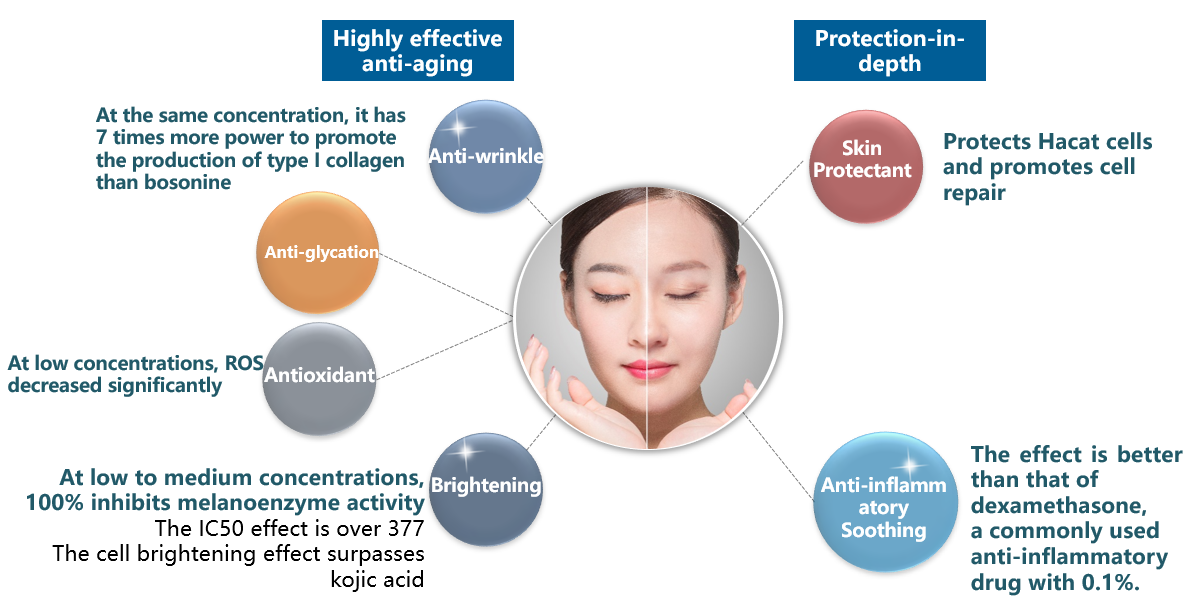 حمض N-acetylneuraminic في تأخير الشيخوخة