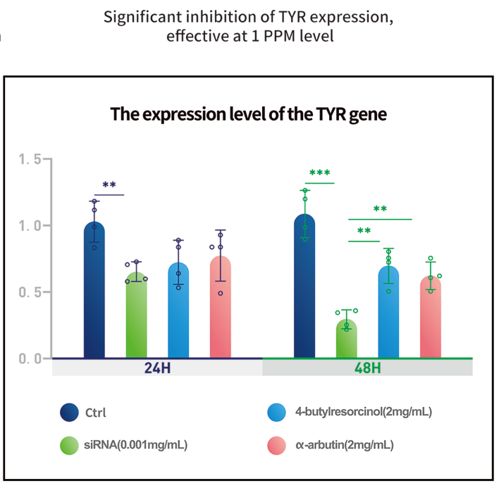 المكونات النشطة في siRNA في العناية بالبشرة