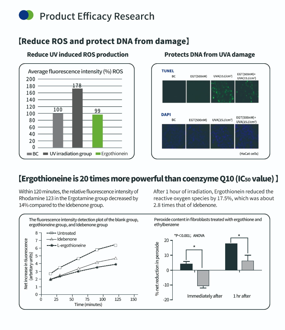 مركب مضاد للأكسدة إرغوثيونين