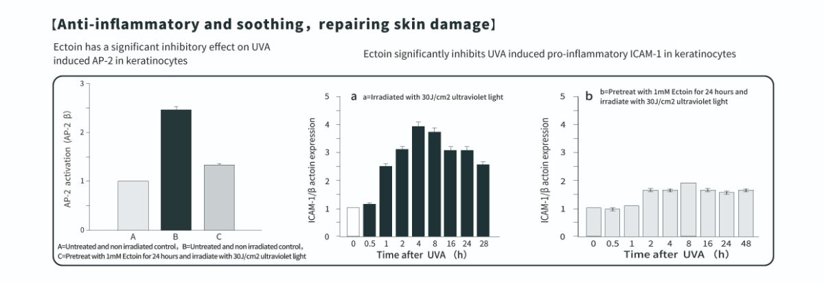 فوائد مسحوق الإكتوين المضادة للالتهابات للبشرة